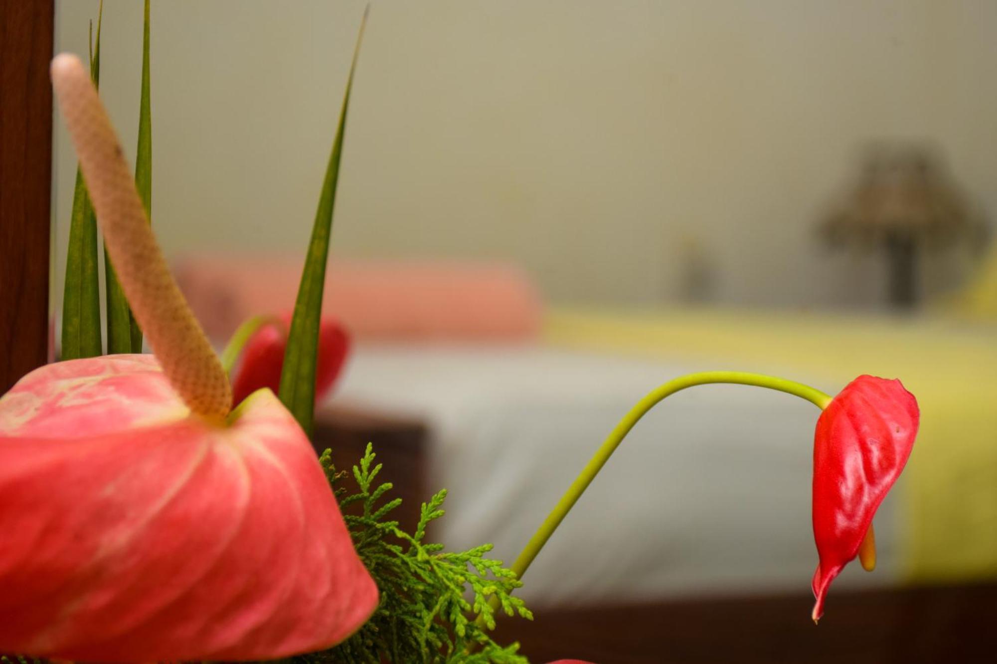 Senu Homestay Szigirija Kültér fotó